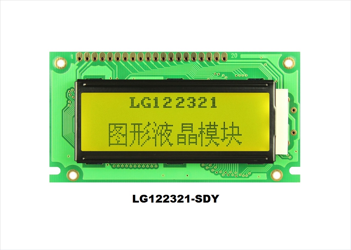 LG122321-DY
